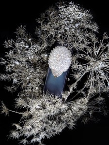 Animal World Hedgehog watch 1